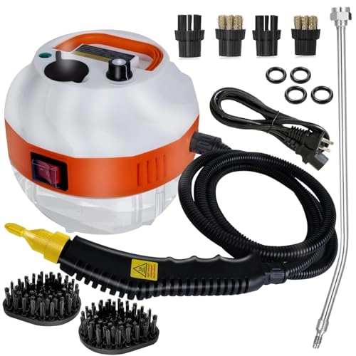 Steam Cleaner - 1000 Milliliters