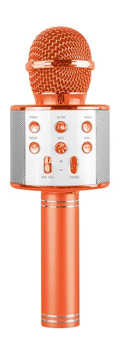 Music Karaoke Microphone - 3 years+