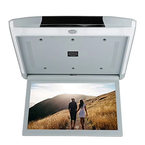 Car Roof Monitor - 15.6in