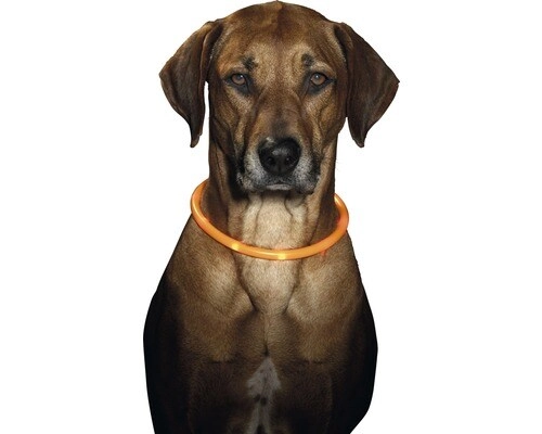 Visio Light Led - 70 Cm