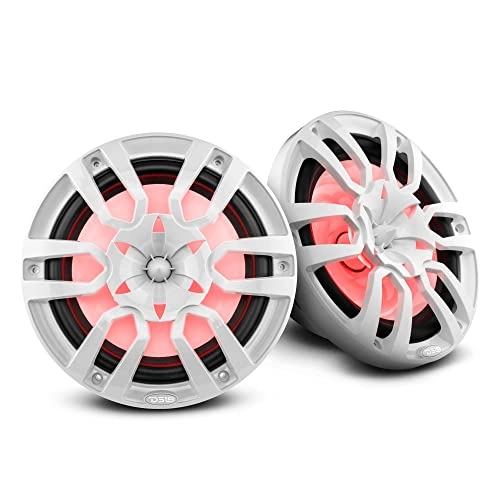 NXL-10 - 10 in 300 Watts