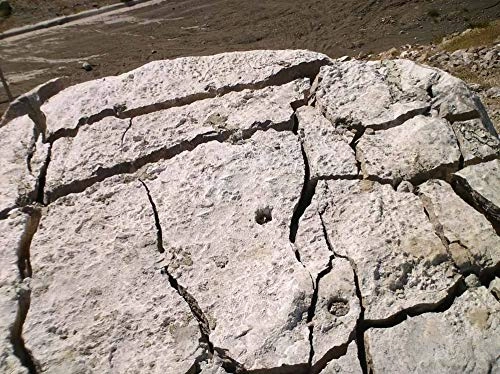 Expansive Demolition Grout - 11 Lb. Bucket