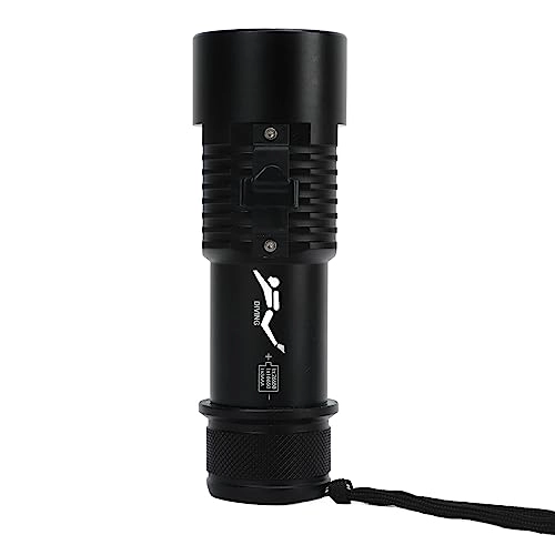 Dive Torch