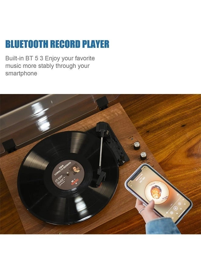 Vinyl Record Player