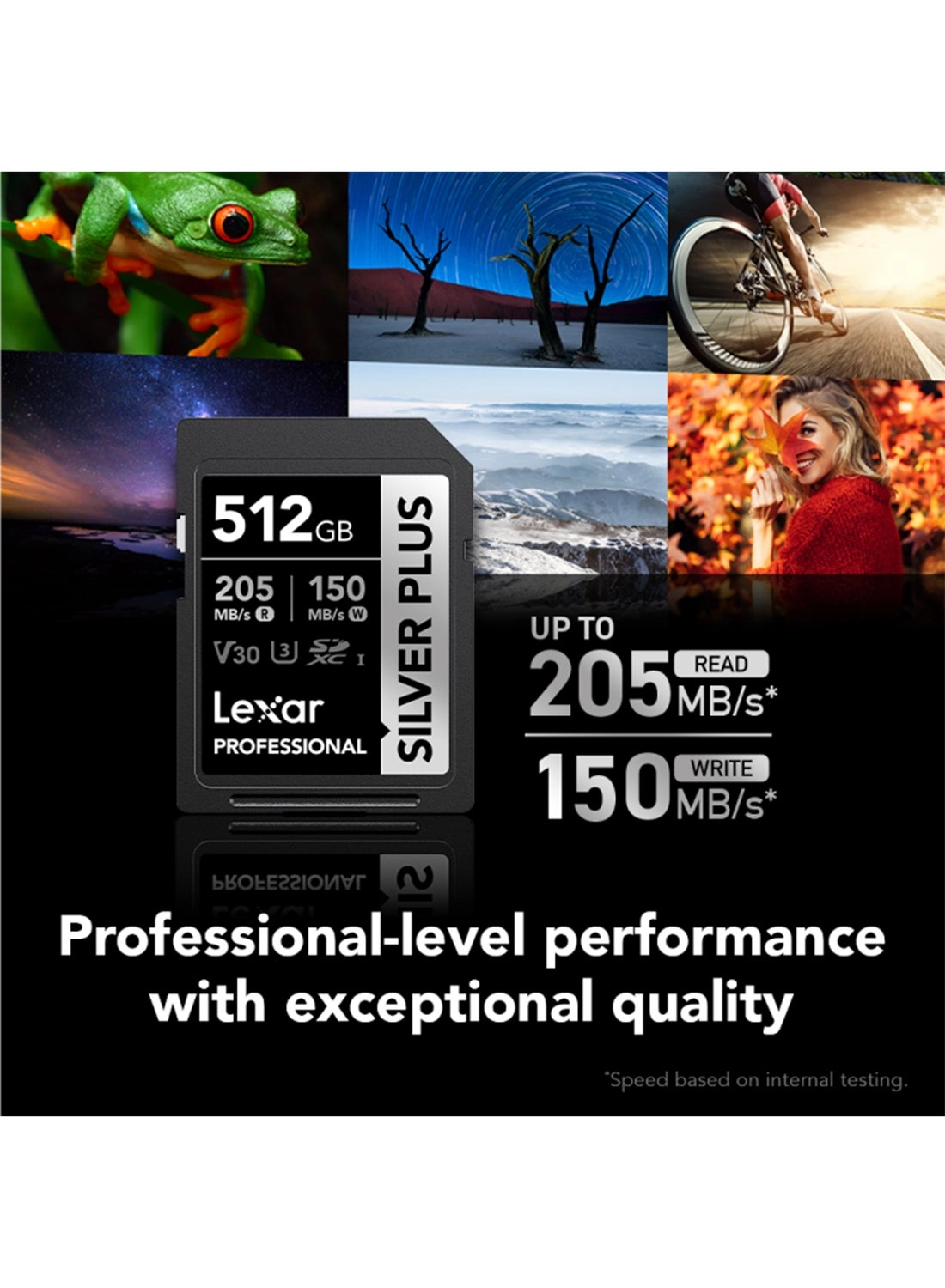 Professional SILVER PLUS SDXC U3 256GB