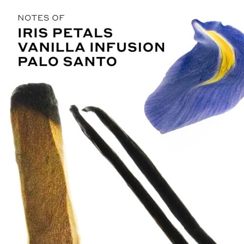 Vanilla Santo - 15ml