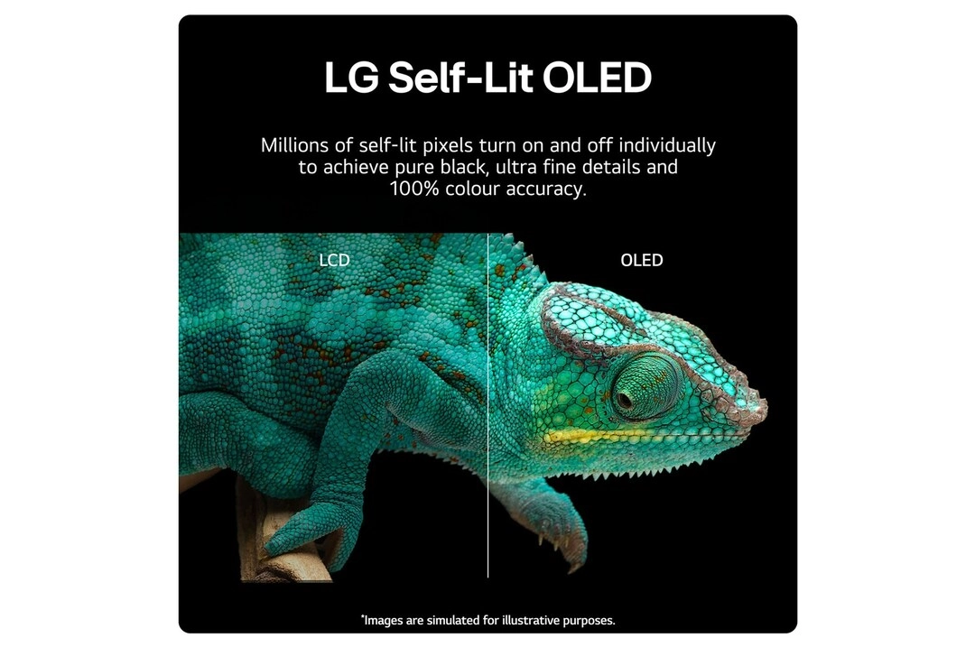 Oled55B46La