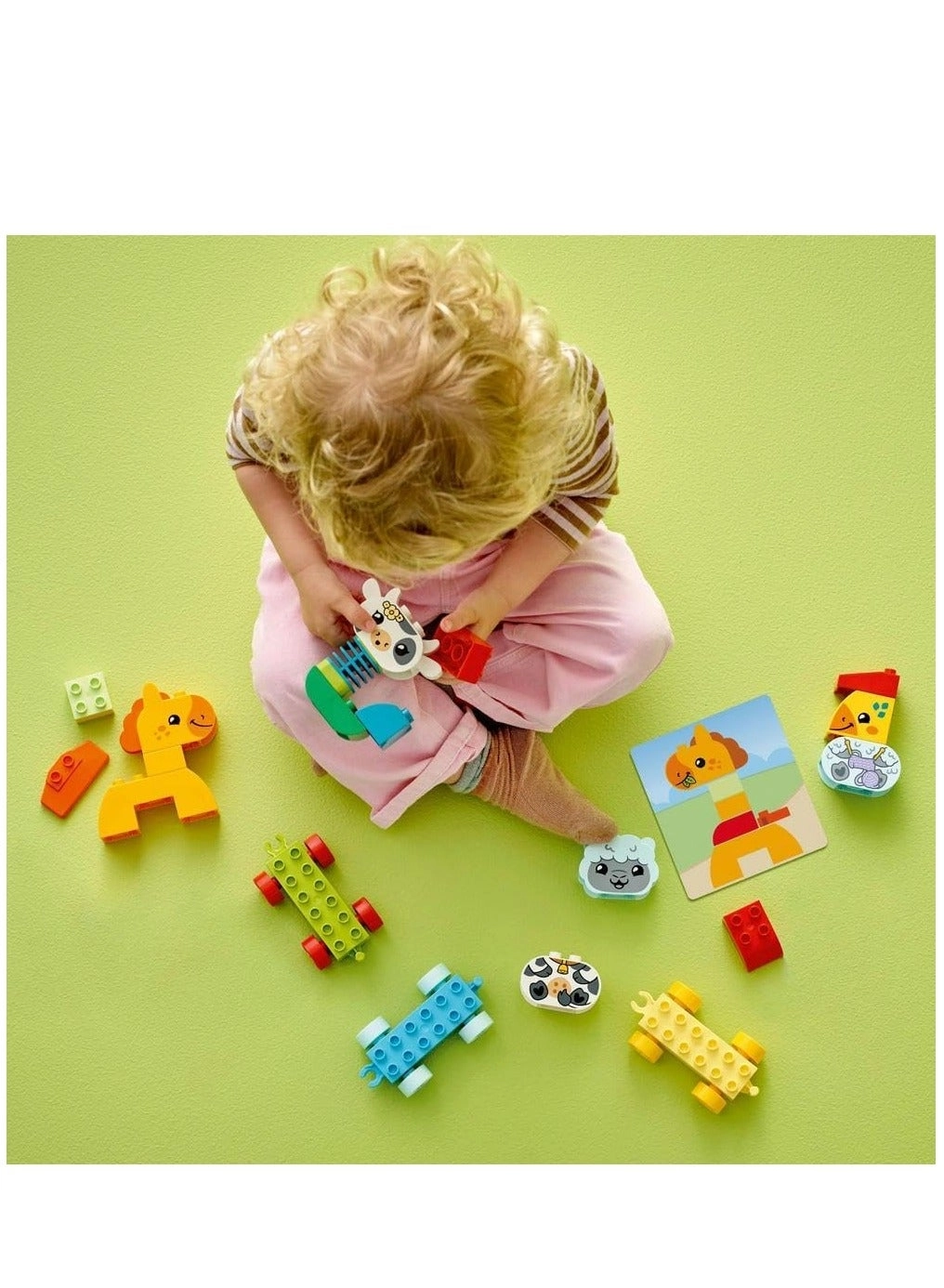 Duplo Animal Train (10412.0)