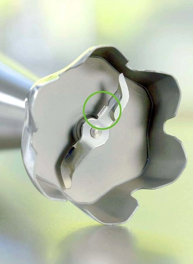 MultiQuick 5 - 0.500L 1000 W