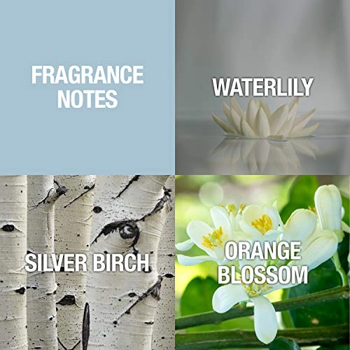 Shi Eau de Parfum 100 ml