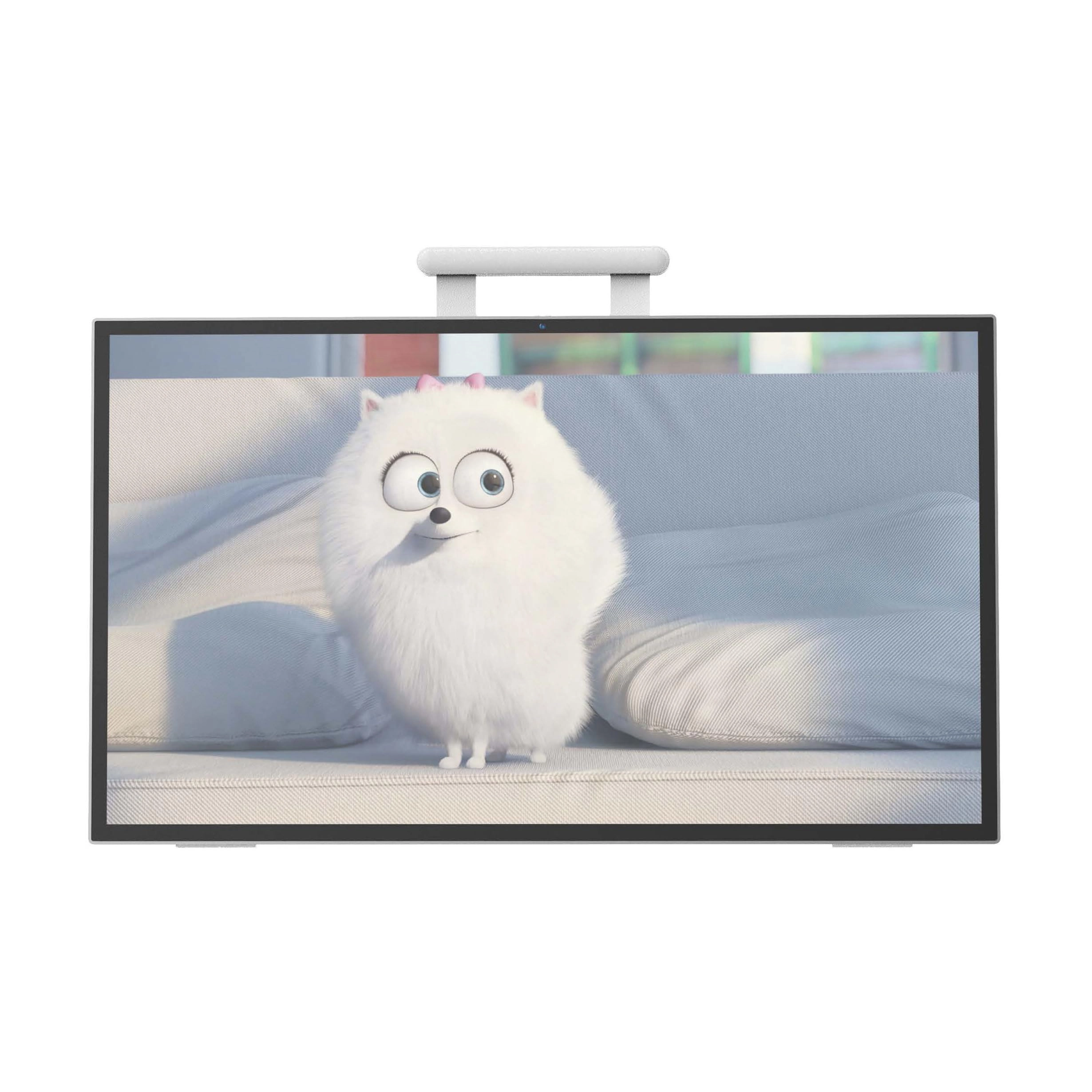 TUOSTAR TECHNOLOGIES 245G2W - 1920x1080 24.5 inch