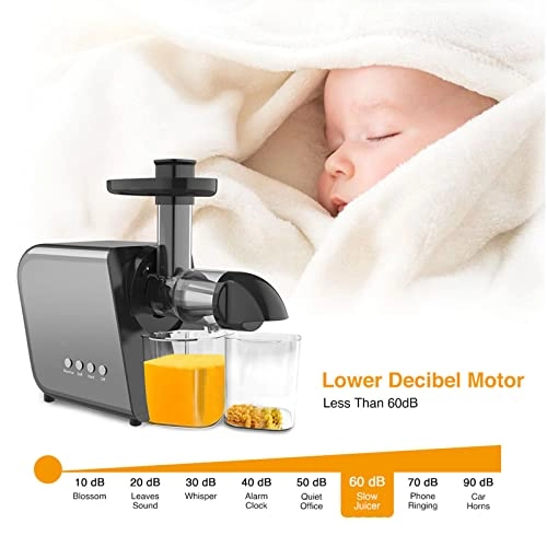 Slow Masticating Juicer - 250W 1300ml