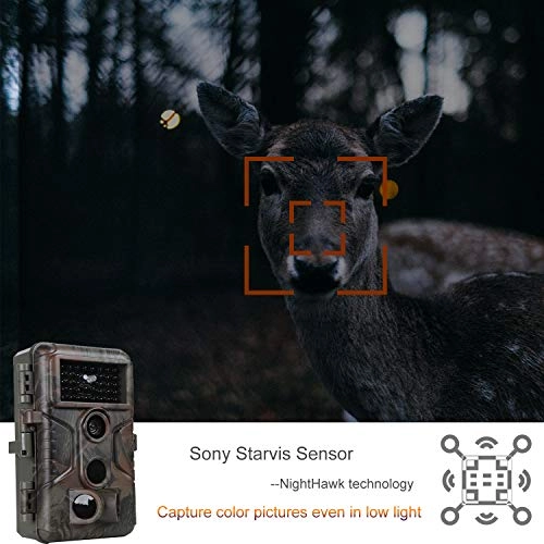 Game & Deer Trail Camera - 48 megapixel