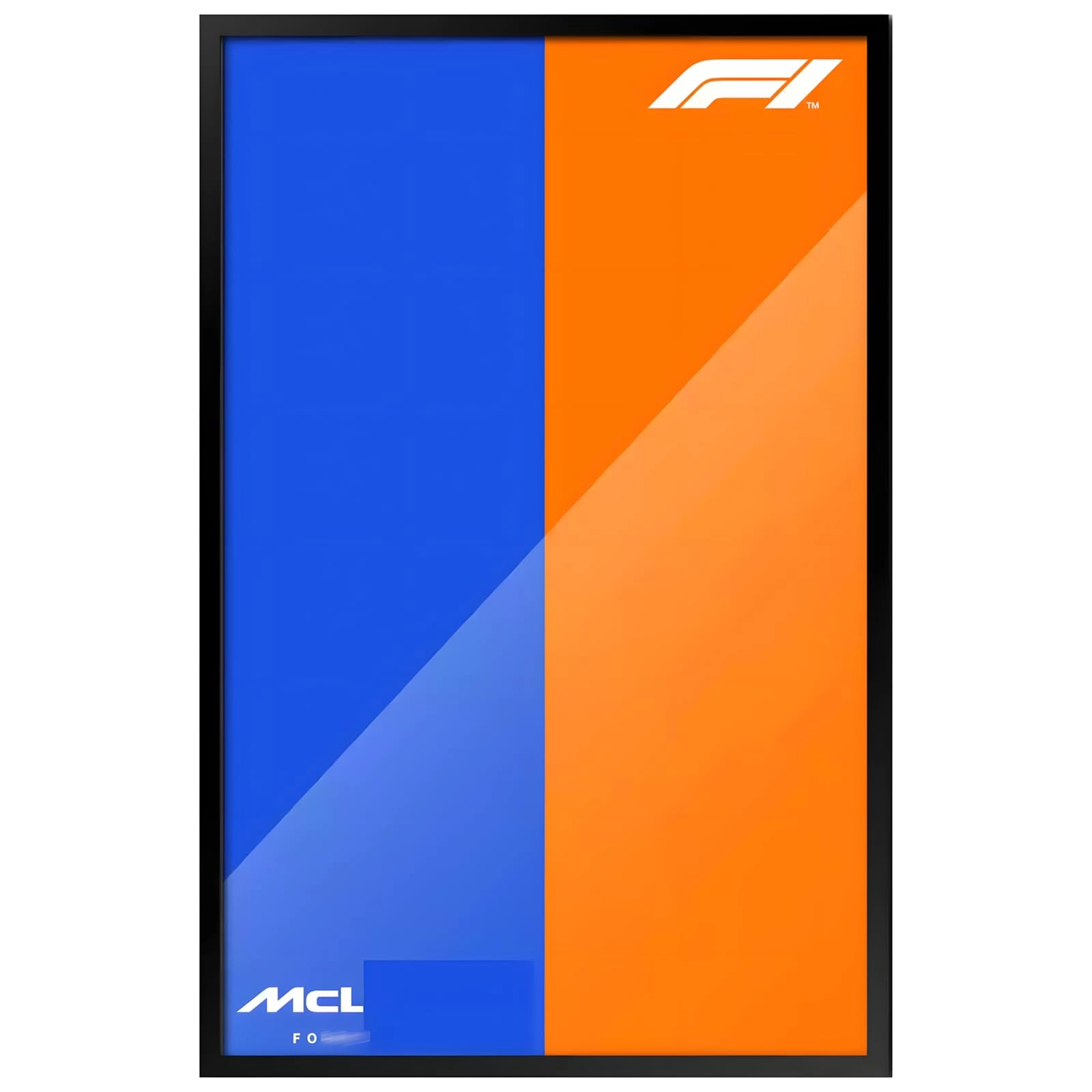 HCAEIOFJ Display Wallboard Wall Mount for LEGO 42171 - 50X80cm