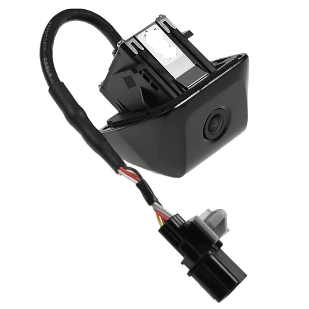 Reversing Camera - Night