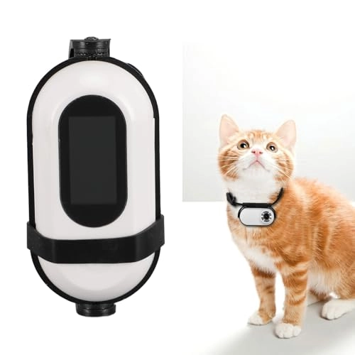 Mini Keychain Camera 2K