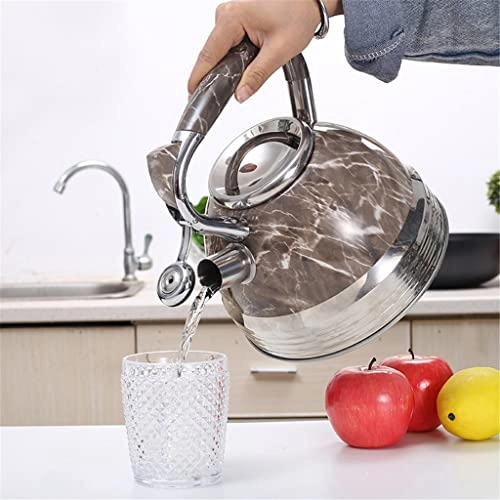 Whistle Kettle - stainless steel old-fashioned