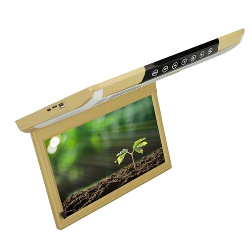 Car Roof Monitor - 11.6in