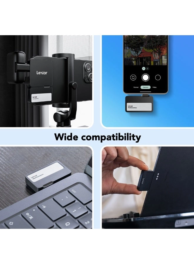 Professional Go - 2 TB