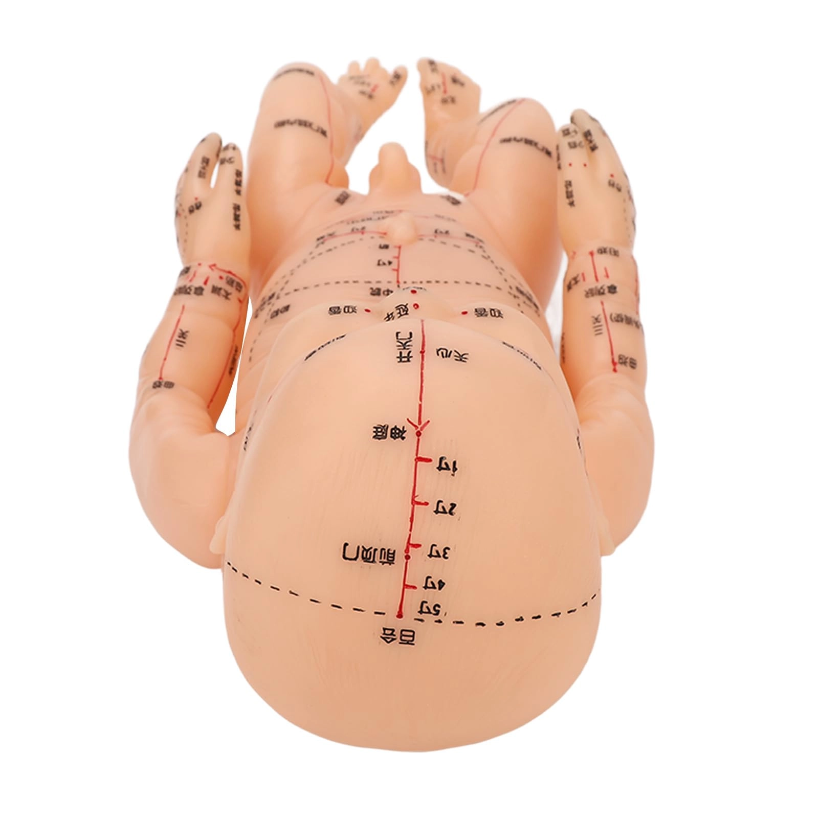 Acupoint children model