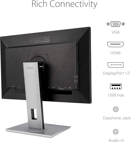 PA248QV - 24.1 Inches