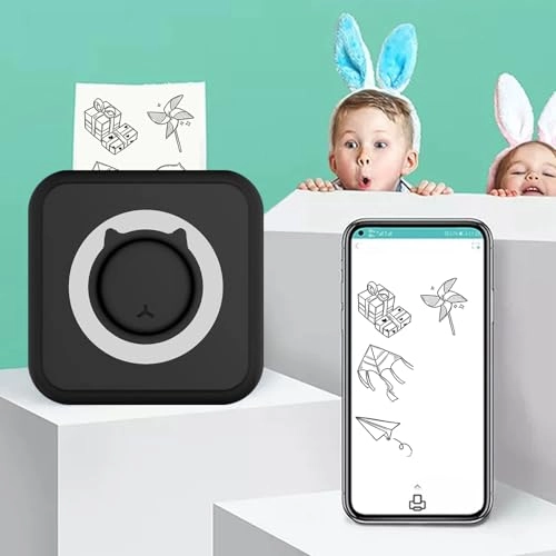 Mini Printer - 203dpi BT/USB