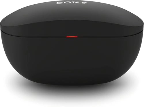 WFSP800N/B Wireless Headphone