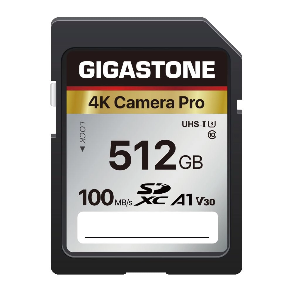 Gigastone 4K Pro Series - 512GB