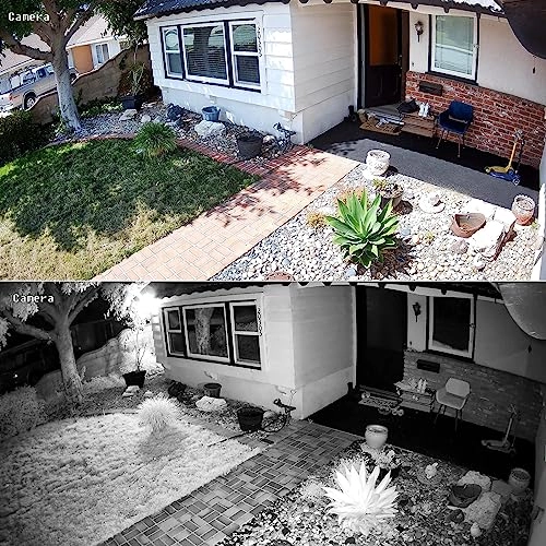 8MP PoE Camera + 32CH NVR + 24 Port PoE Switch - 20