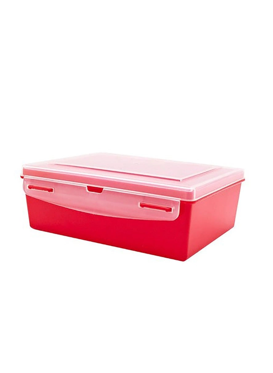 1033 Plastic Container with Lid - Plastic