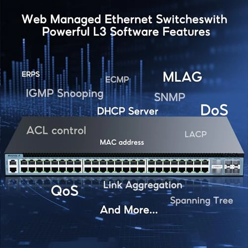 48X2.5G+4X25G SFP+2X40G QSFP(Managed) 48-ports