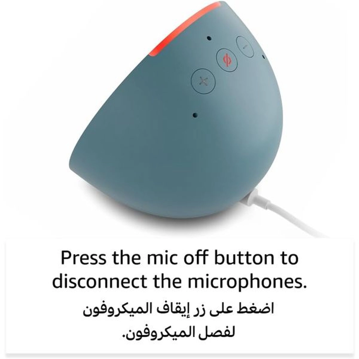 Echo Pop 1st Gen - Alexa Charcoal