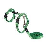 Dog & Cat Collars, Harnesses & Leads