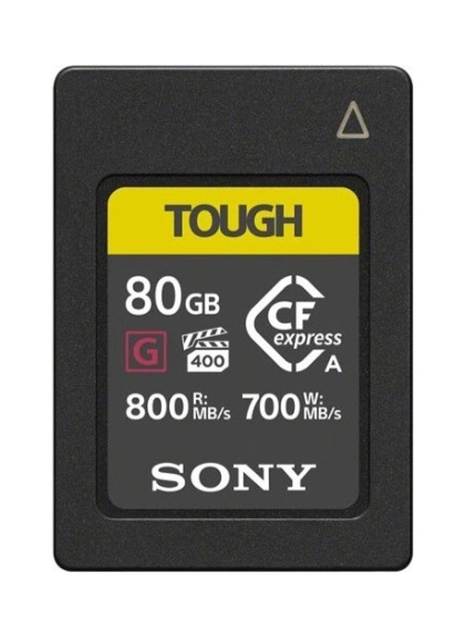 Sony Tough Type A 80GB