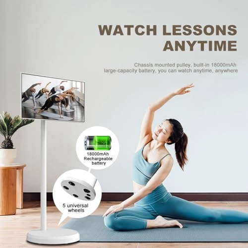 Mobile Touchscreen Television - FHD 21.5"