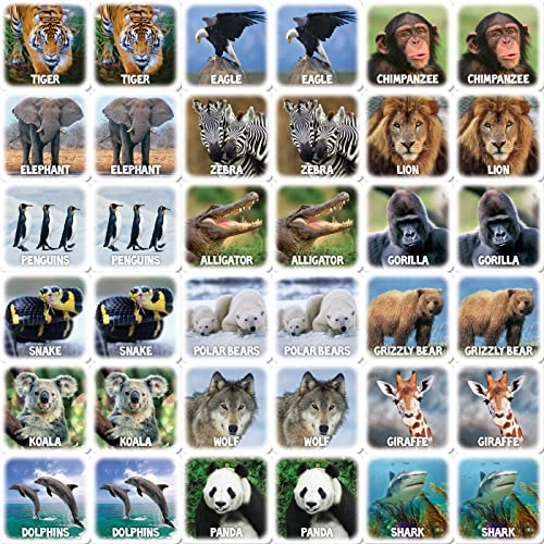 World of Animals Matching Game - 3+
