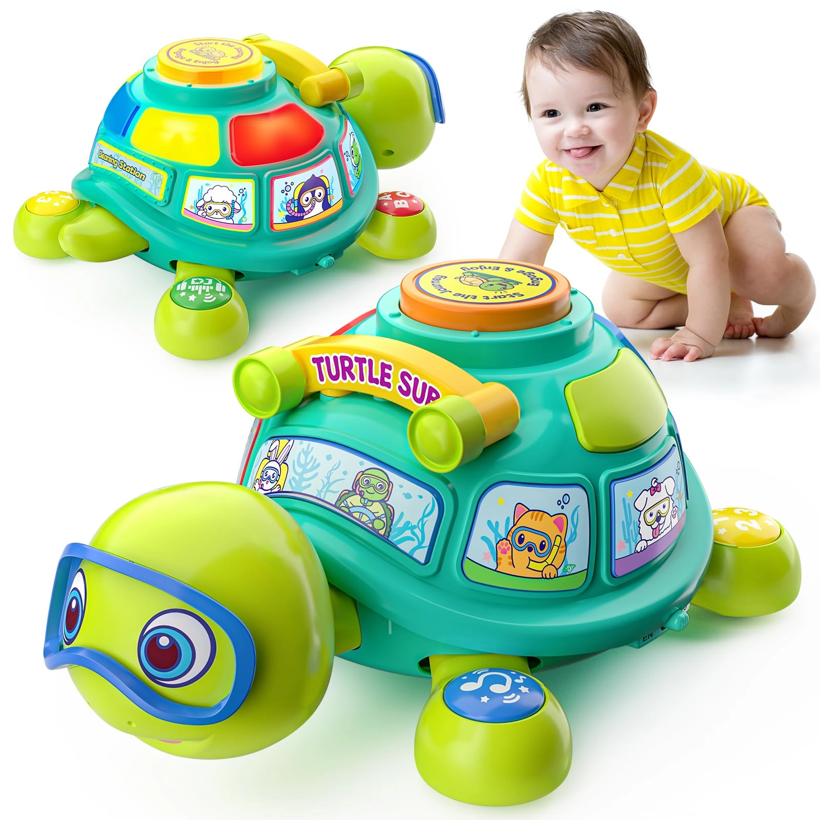 bqu Crawling Turtle - 3 to 12 months