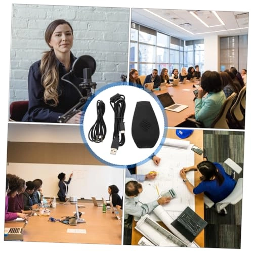 Directional Wireless Microphone