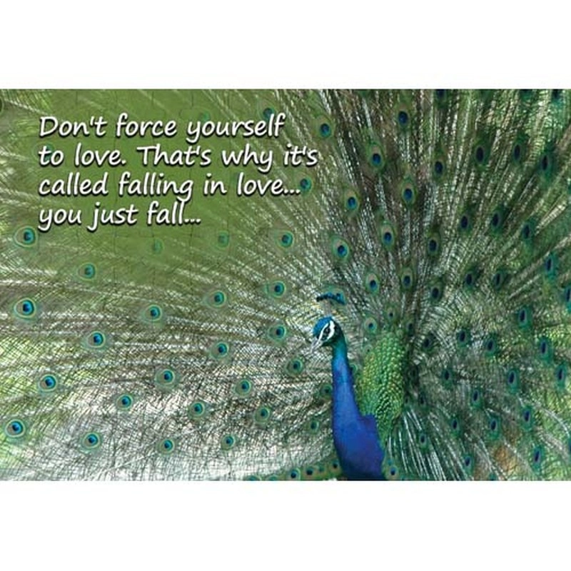 Ajooba Dubai Love Puzzle (2316)