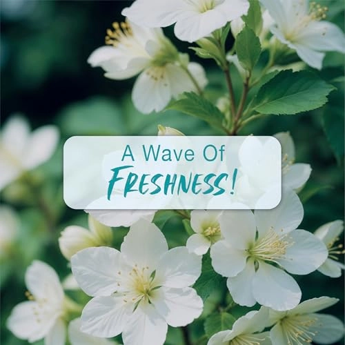 Te Amo Aqua - 120ml Floral Wood