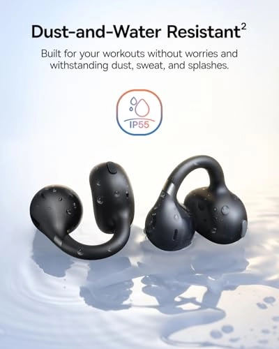 Bass BC1 Wireless Earbud