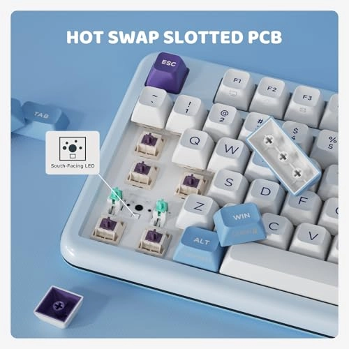 Z98 - Wired/Wireless