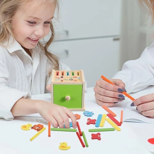 Wooden Color Matching Toy - 15 years and up