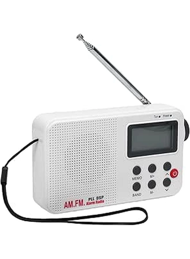 SUNGOOYUE s1umzkw9fx - Portable Radio