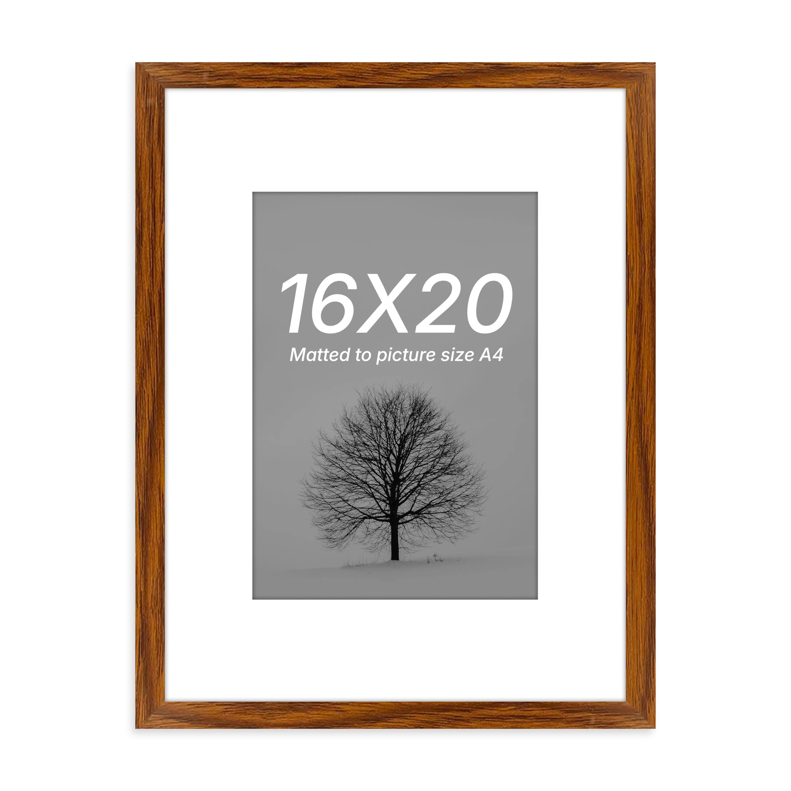 Document Frame - 16x20 Inch