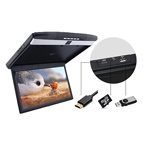 Car Roof Mount Screen - 17.3 Inch