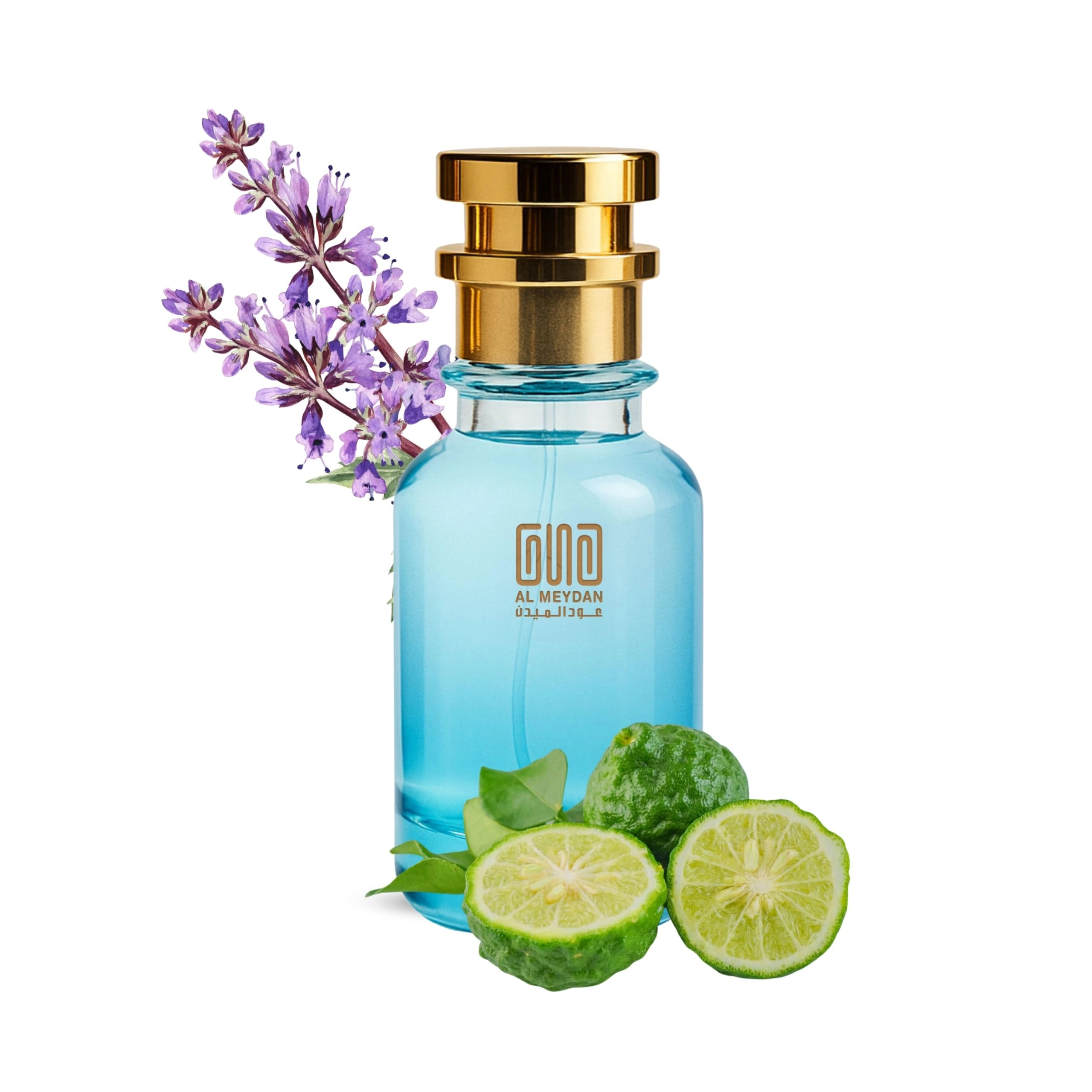 Oud Al Meydan Bergamote 22 - 80 ML