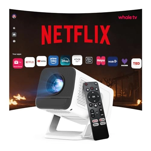 VisualCube 300 260 ANSI lumens