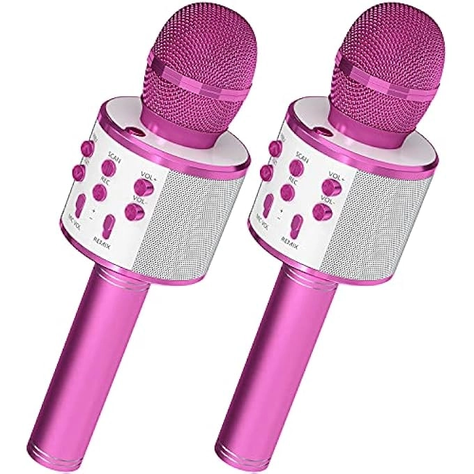 rayihni Karaoke Microphone Pack