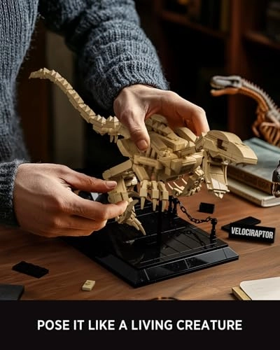 Velociraptor Fossil Model - Dinosaur Skeleton Display Base
